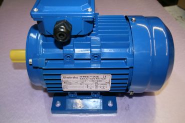 Drehstrommotor KR Motor-Shop, ME 100L-2, 4,0KW, 400/690 Volt, 3000 U/min, B3, IE2