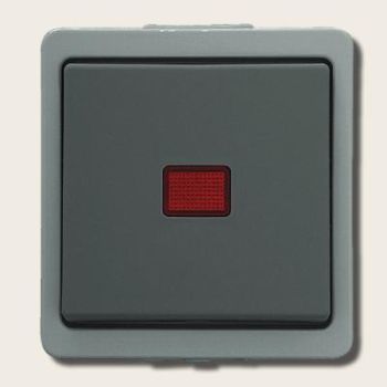 Kontrolltaster Vedder 9390K, grau, mit getrennter Beleuchtung, IP44, taster, Schalter