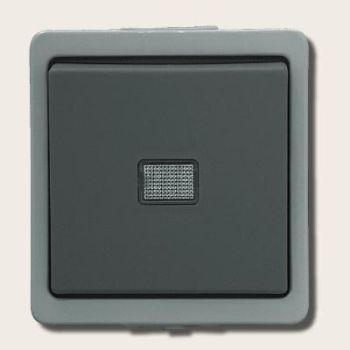 Taster, Vedder 9390, 1 Schließer, grau, auf Putz, Stechdose, Stecker, IP44