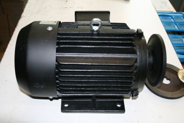 Drehstrommotor als Kreissägemotor Niedermeier KRN 100 L1-4, 4,2KW, n1500/1350, Ersatzmotor für Kreissägen, Kippsäge, Kreissäge, Tischkreissäge, Kappsäge, Brennholz, Schreiner, Bauer