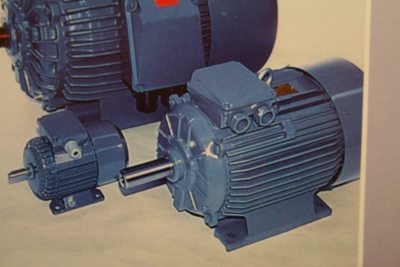 Drehststrommotor polumschaltbar, Elektrim SH 80-4/2A, 0,45/0,60KW, 1500/3000U/min