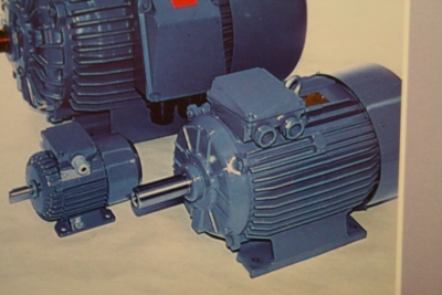 Drehstrommotor polumschaltbar, 1500/3000U/min, Elektrim TYPE: SSG 132-M4/2, 4/2 Dahlanderschaltung, 6,00/7,20 KW