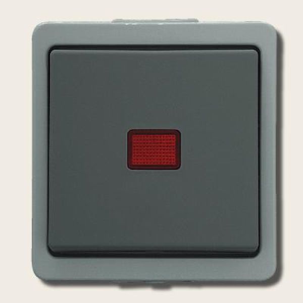 Kontrolltaster Vedder 9390K, grau, mit getrennter Beleuchtung, IP44, taster, Schalter